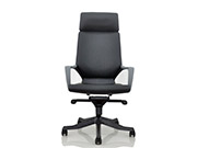Mesh Executive ChairApollo_Office Furniture_Mesh Executive Chair_Office Chair